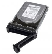 300GB, 15k RPM, SAS 12Gbps, 512n, 2,5